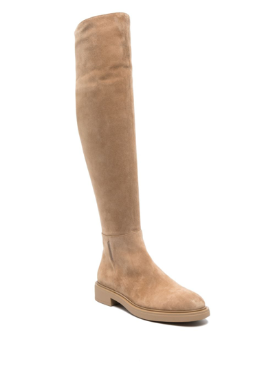 Shop Gianvito Rossi Lexington Over-the-knee Suede Boots In Braun