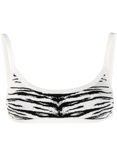 Shop Laneus Zebra-print Knitted Bra In White