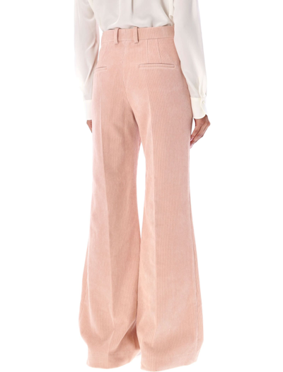 Shop Chloé Velvet Pants In Misty Pink