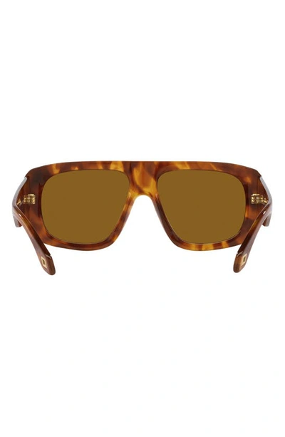 Armani Exchange 56mm Pillow Sunglasses In Red Havana