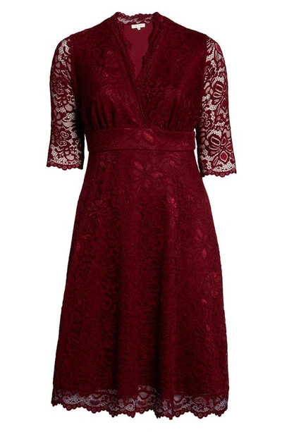 Shop Kiyonna Mademoiselle Lace A-line Dress In Pinot Noir