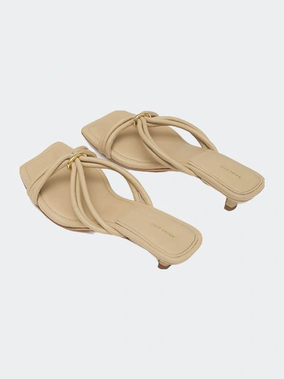 Shop Anine Bing Suki Sandals In Brown