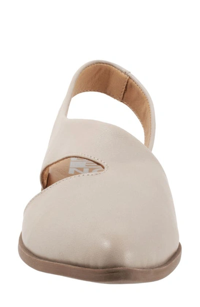 Bueno Bianca Slingback Pointed Toe Flat In Light Grey