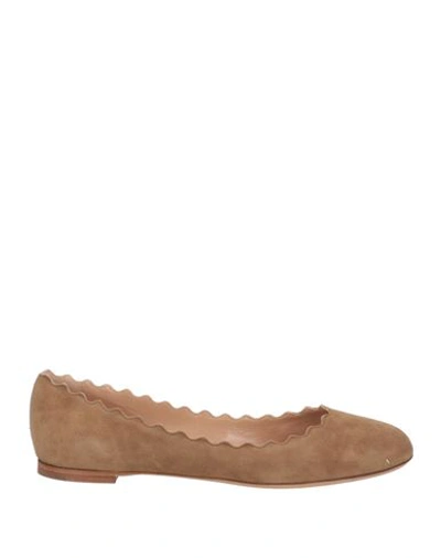 Shop Chloé Woman Ballet Flats Khaki Size 9 Soft Leather In Beige