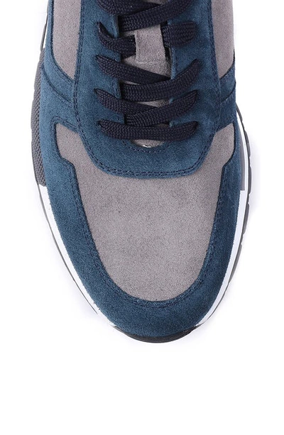 Shop Vellapais Destin Suede Sneaker In Blue Multi