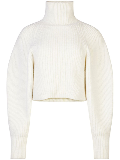 Shop Nina Ricci High-neck Ribbed-knit Jumper In White