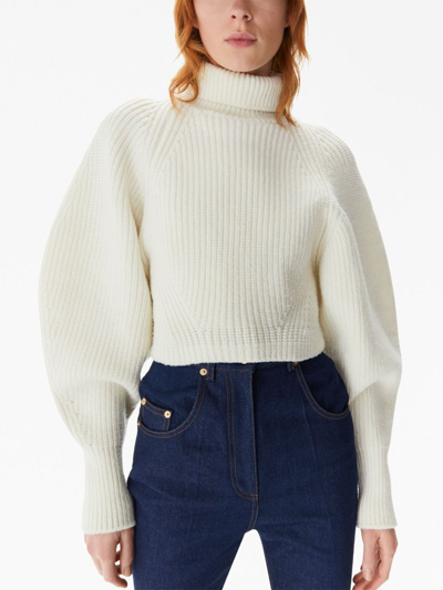 Shop Nina Ricci High-neck Ribbed-knit Jumper In White