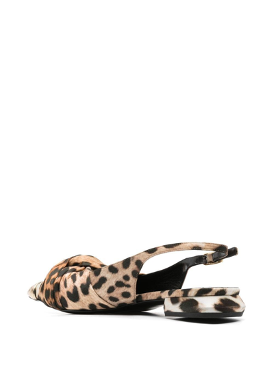 Shop Roberto Cavalli Pettegole Leopard-print Slingback Ballerinas In D0712
