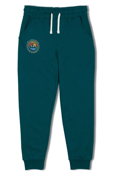 Shop Threads 4 Thought Kids' Call Of The Wild Graphic Sweatpants In Sea Dragon