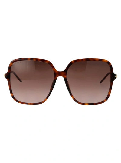 Shop Gucci Sunglasses In 002 Havana Gold Brown