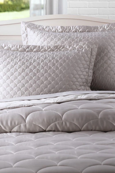 Climarest Allied Home Nikki Chu Velvet/satin Reversible Blanket In Pewter