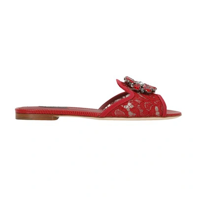 Shop Dolce & Gabbana Lace Rainbow Slides With Brooch Detailing In Dark_red