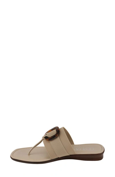 Shop Italian Shoemakers Eddith Thong Sandal In Taupe