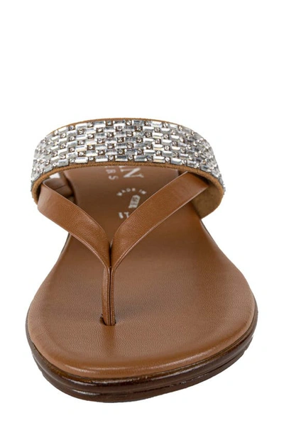 Shop Italian Shoemakers Ashi Wedge Thong Sandal In Luggage