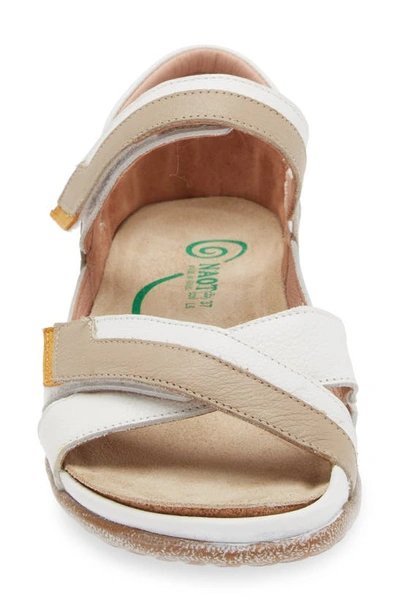 Shop Naot Karawa Sandal In White/ Beige/ Marigold