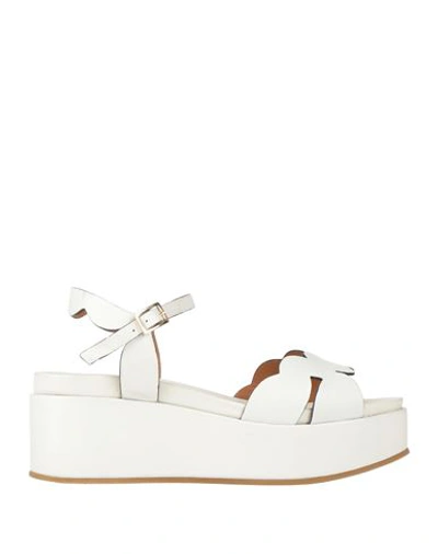 Shop Duccio Del Duca Woman Sandals White Size 9 Soft Leather
