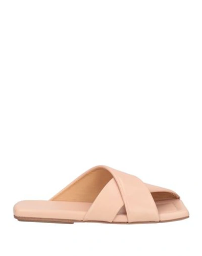 Shop Marsèll Woman Sandals Blush Size 7 Calfskin In Pink