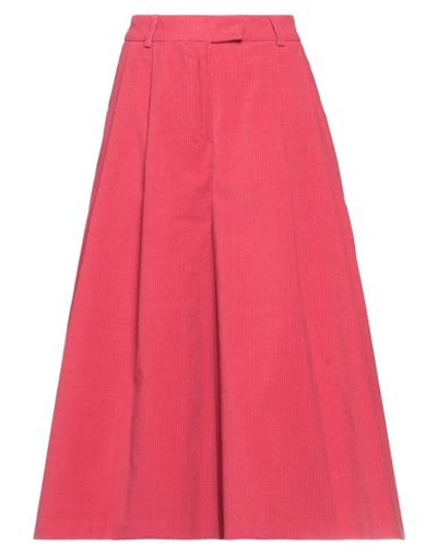 Sfizio Studio Woman Pants Magenta Size 4 Cotton, Elastane In Magenta