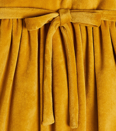 Paade Mode Embroidered Velvet Dress In Yellow