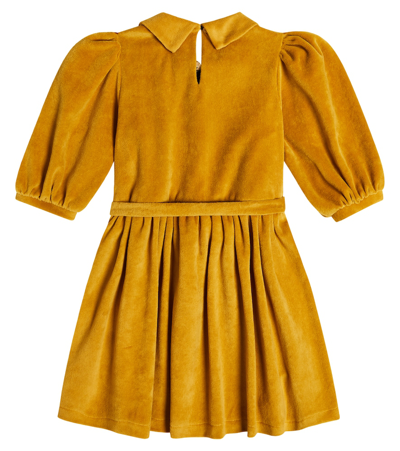 Paade Mode Embroidered Velvet Dress In Yellow