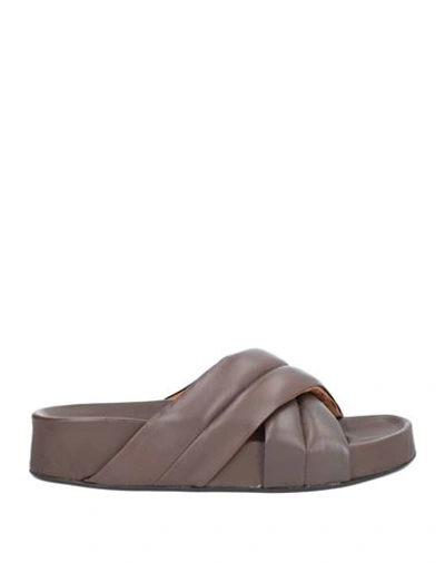 Shop Atp Atelier Woman Sandals Dark Brown Size 7 Soft Leather