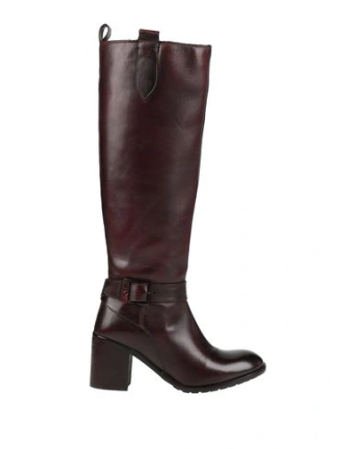 Gai Mattiolo Woman Knee Boots Dark Brown Size 11 Soft Leather In Brown