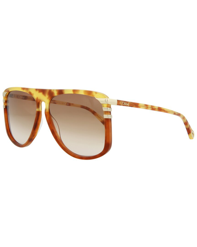 Shop Chloé Women's Ch0104s 62mm Sunglasses In Brown
