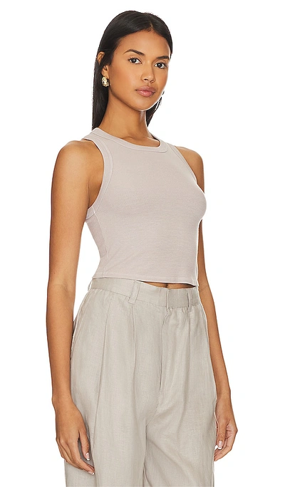 Shop Enza Costa Silk Cropped Bold Sheath Tank In Quart