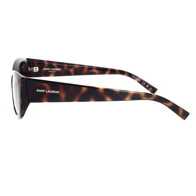 Saint Laurent Eyewear Sunglasses In Havana