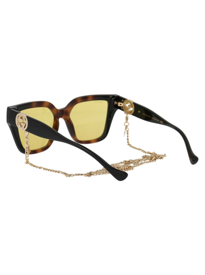 Shop Gucci Sunglasses In 004 Havana Black Yellow