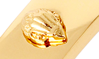 Kurt Geiger Crystal-embellished Eagle-head Brass Bangle In Shiny Gold