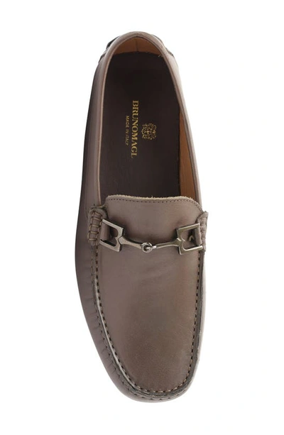 Shop Bruno Magli Xander Driving Loafer In Brown Leather