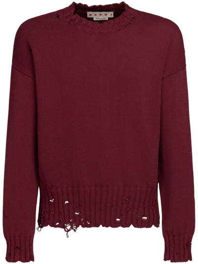 Shop Marni Distressed Cotton Jumper In Red