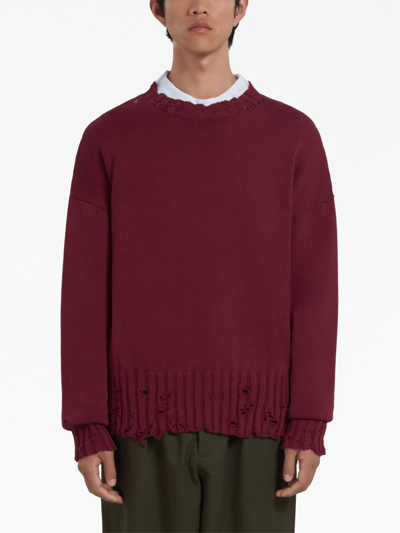 Shop Marni Distressed Cotton Jumper In Red