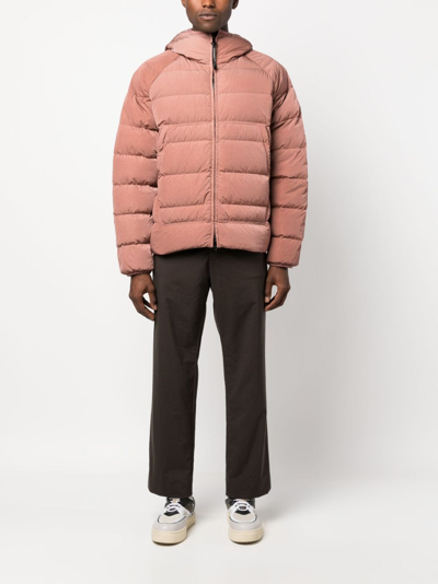C.p. Company Eco-chrome R Padded Hooded Jacket In Pink