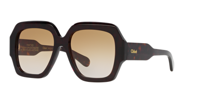 Chloé Chloe Sunglasses In Brown