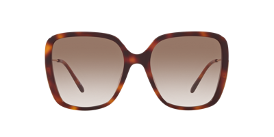 Chloé Woman Sunglass Ch0173s In Brown