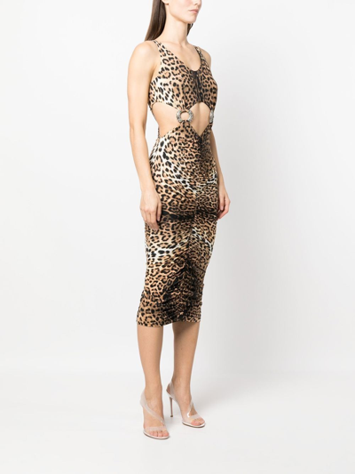 Shop Roberto Cavalli Leopard-print Cut-out Midi Dress In Neutrals