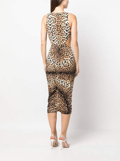 Shop Roberto Cavalli Leopard-print Cut-out Midi Dress In Neutrals