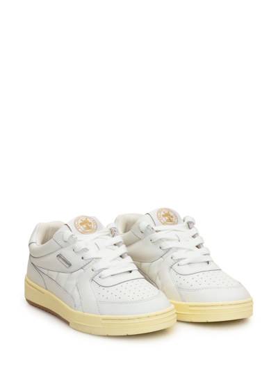 Shop Palm Angels Palm University Sneaker In White White