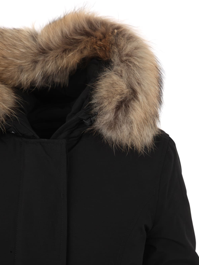 Shop Woolrich Arctic Raccoon Parka In Blk Black