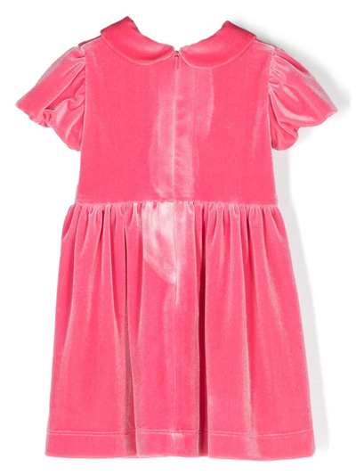 Shop Chiara Ferragni Short-sleeve Velvet Dress In Pink