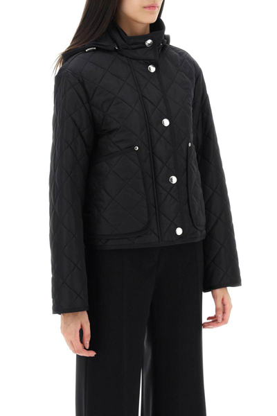 Shop Burberry 'humbie' Short Quilted Jacket In Black