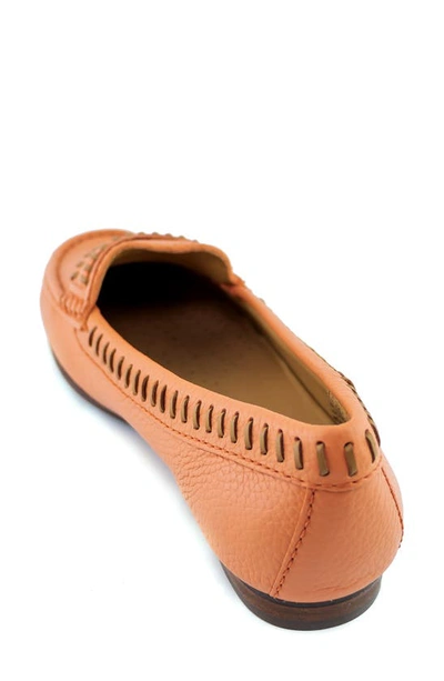 Shop Driver Club Usa Maple Ave Penny Loafer In Salmon Tumbled