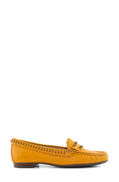 Shop Driver Club Usa Maple Ave Penny Loafer In Cheddar Tumbled/ Contrast