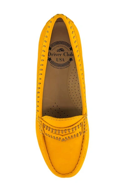Shop Driver Club Usa Maple Ave Penny Loafer In Cheddar Nubuck/ Contrast