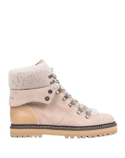 Shop See By Chloé Woman Ankle Boots Sand Size 8 Calfskin, Shearling In Beige