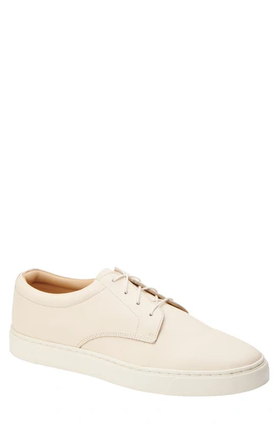 Shop Nisolo Everyday Low Top Sneaker In Bone