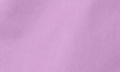 Foxcroft Cole Roll Sleeve Button-up Shirt In Soft Violet