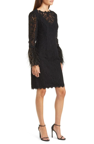 Shop Shani Lace Feather Trim Sheath Dress In Black